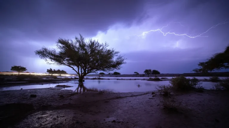 Lightning over a flooded desert with an acacia tree at night in Saudi Arabia